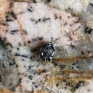 Santa 🎅🏼 Pandora Charm